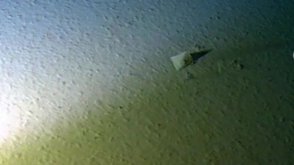 
                              Canoe believe it: Plastic waste could be used to make kayaks and milk bottles
                      