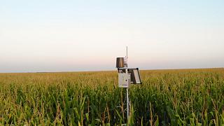 Risky business: how to keep your Intellectual Property safe