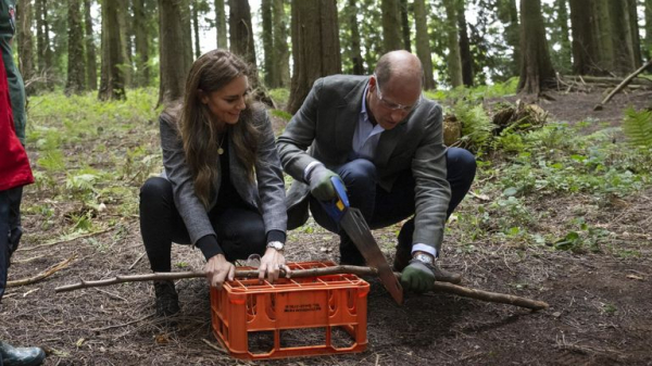 Prince and Princess of Wales searching for chief executive officer with 'low ego'