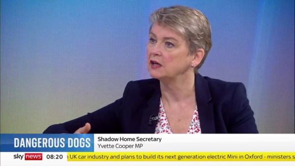 XL bully dogs: Why adding the controversial breed to the Dangerous Dogs Act may not work